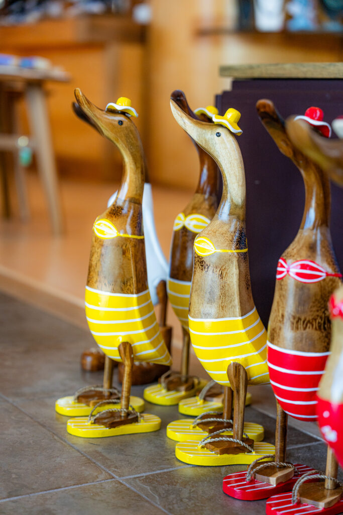 bikiniducks