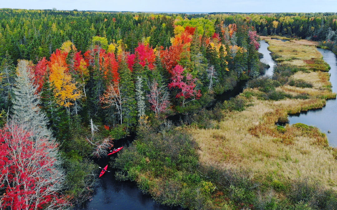 Health and Wellness: The Prince Edward Island Way!