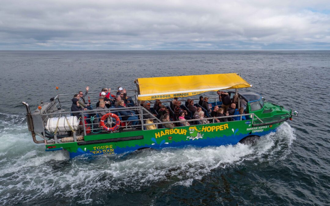 Ambassatours Gray Line – Harbour Hopper