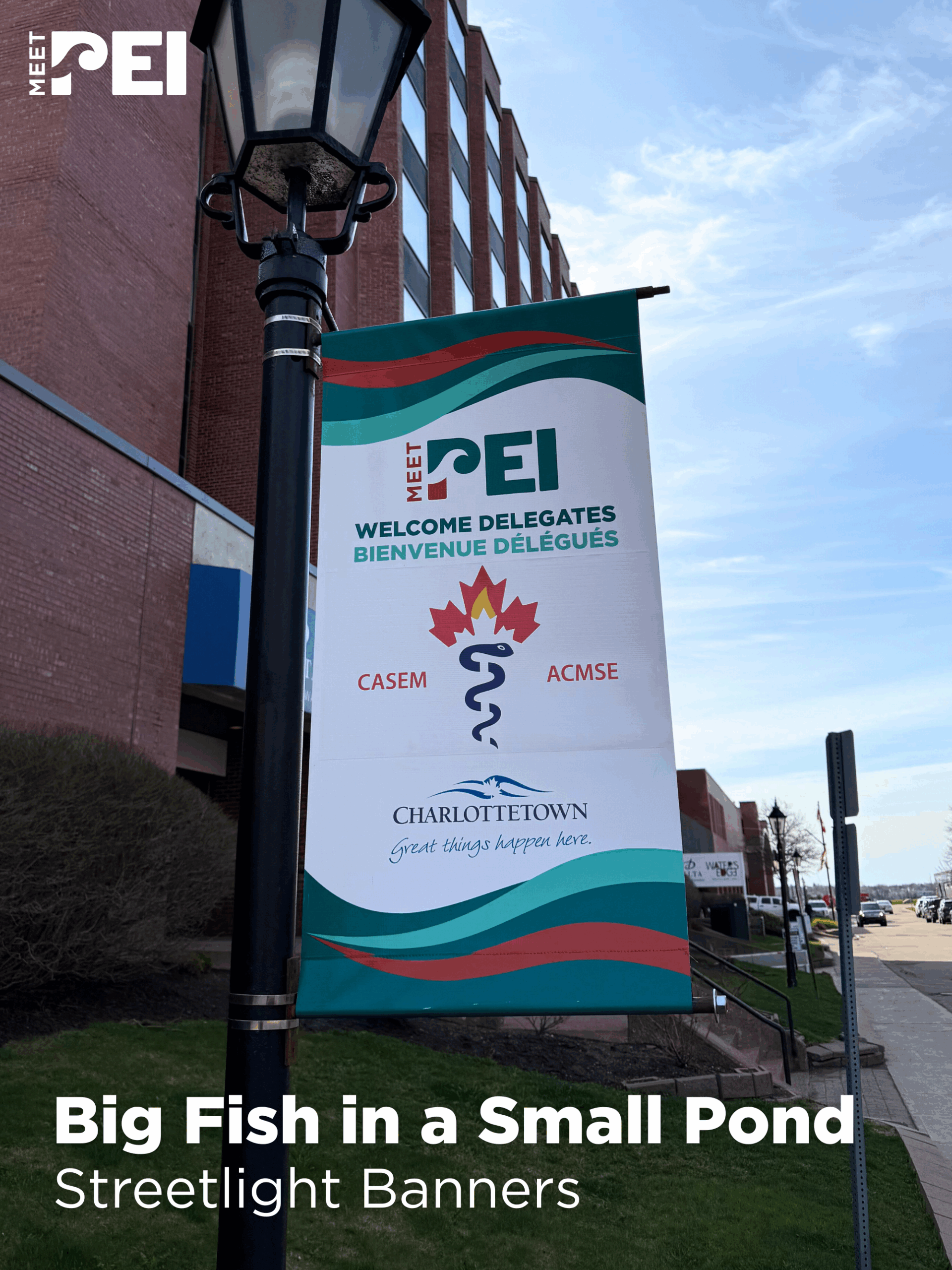 Streetlight Banners