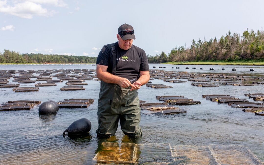 Raspberry Point Oyster Tours